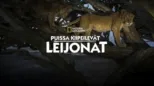 thumbnail - Puissa kiipeilevät leijonat
