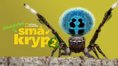 Virkelighetens småkryp