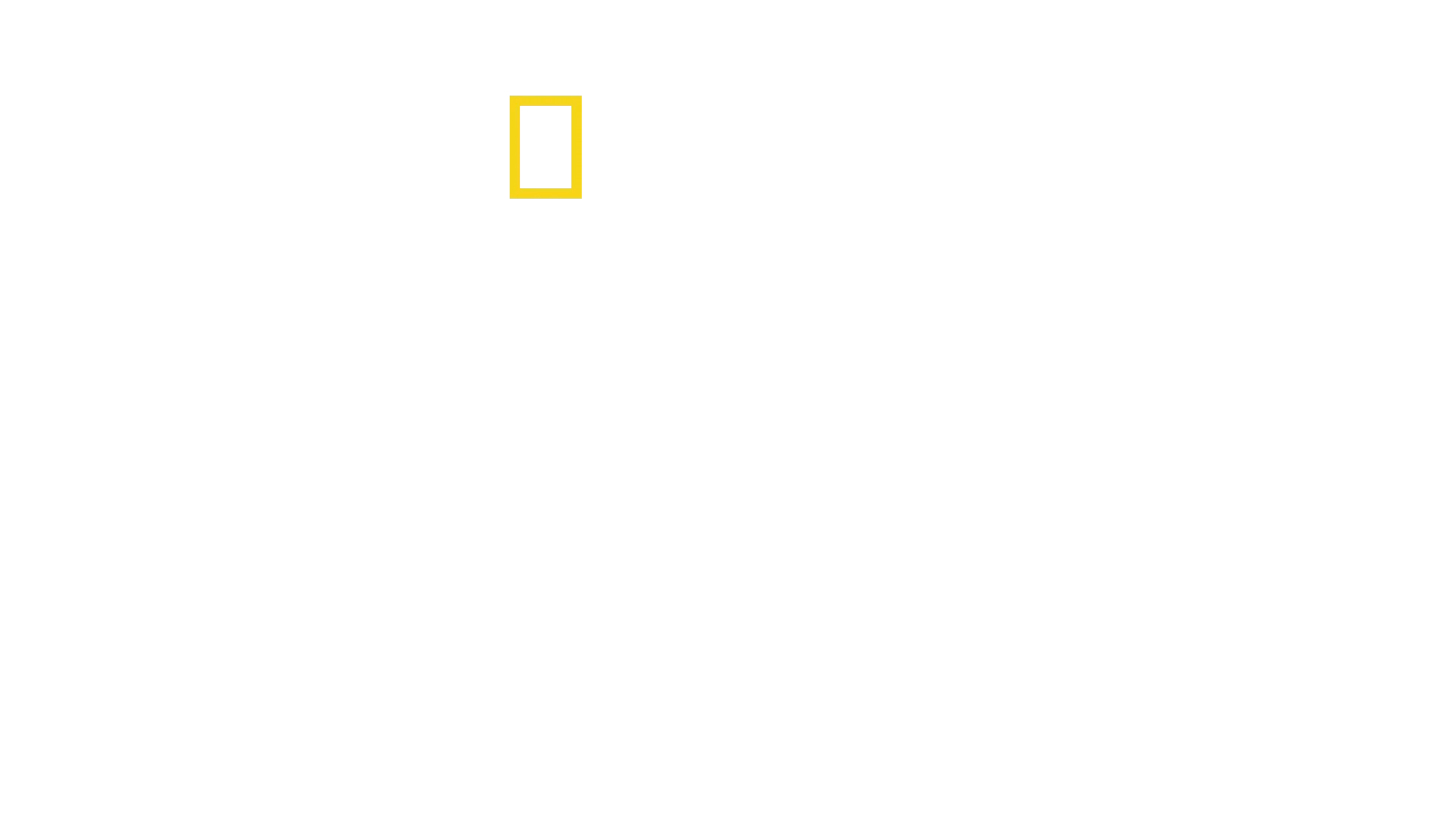 Az elefántok titkai