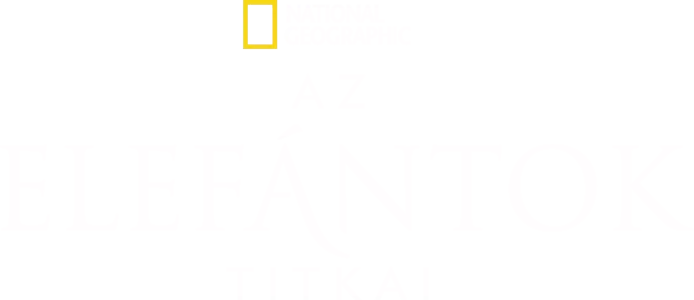 Az elefántok titkai