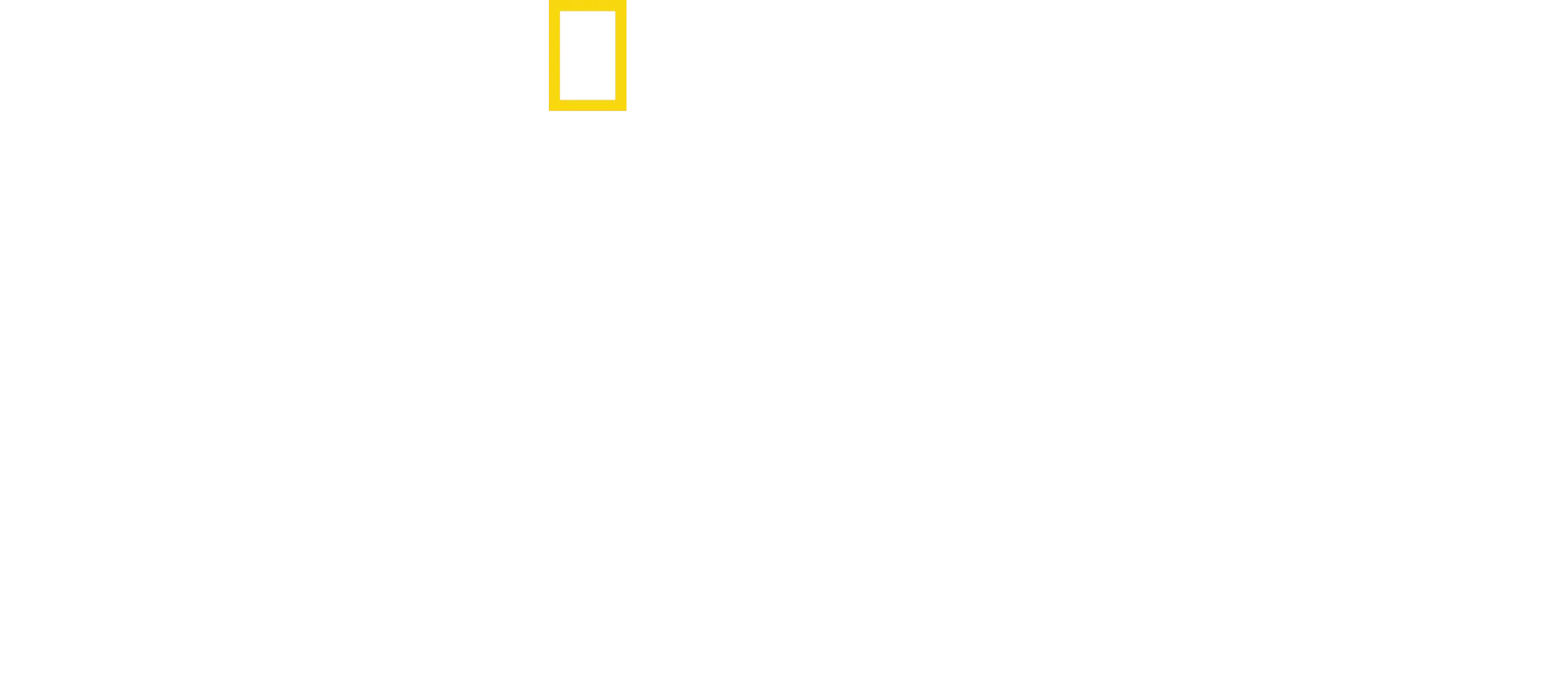 Az elefántok titkai