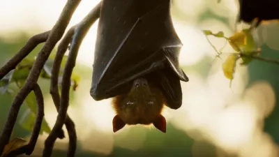 thumbnail - Sexy Beasts