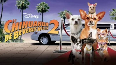 Le Chihuahua de Beverly Hills 2