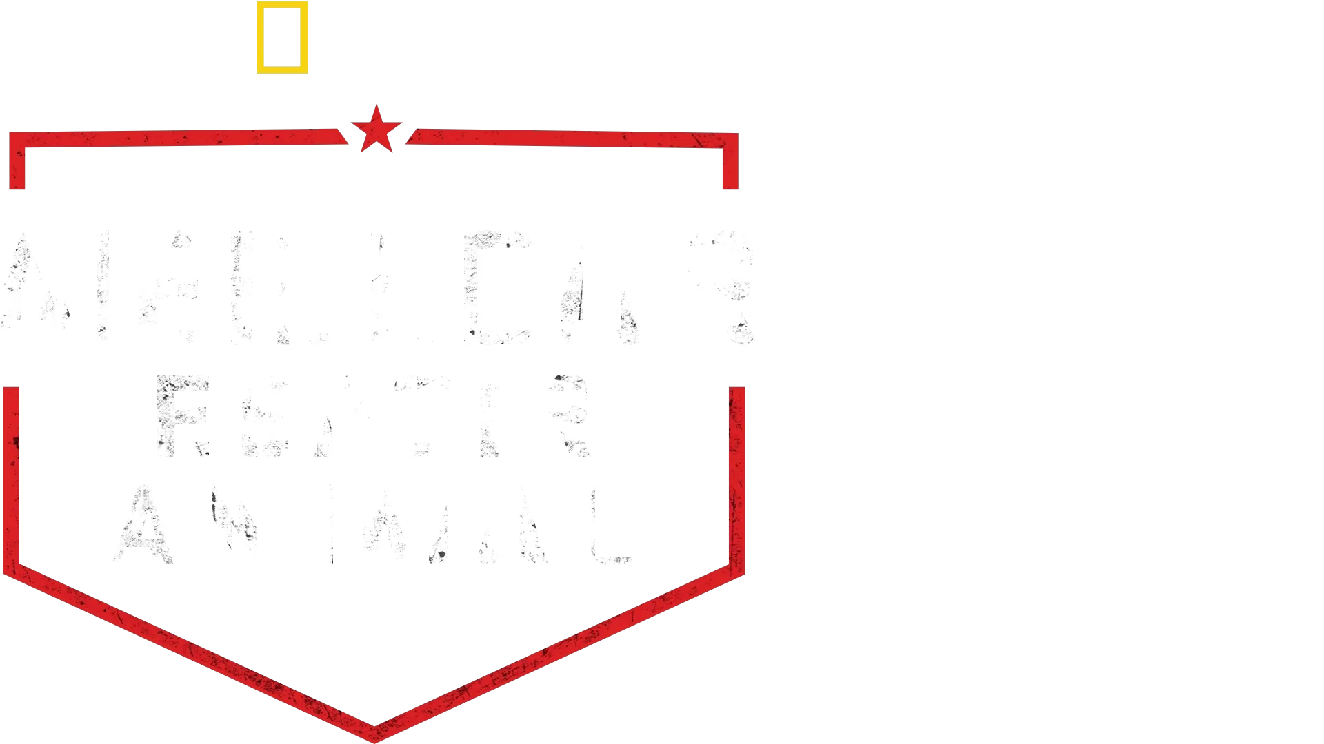 Meilleur espoir animal