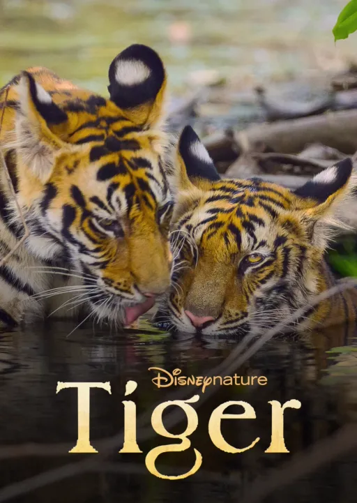 thumbnail - Tiger