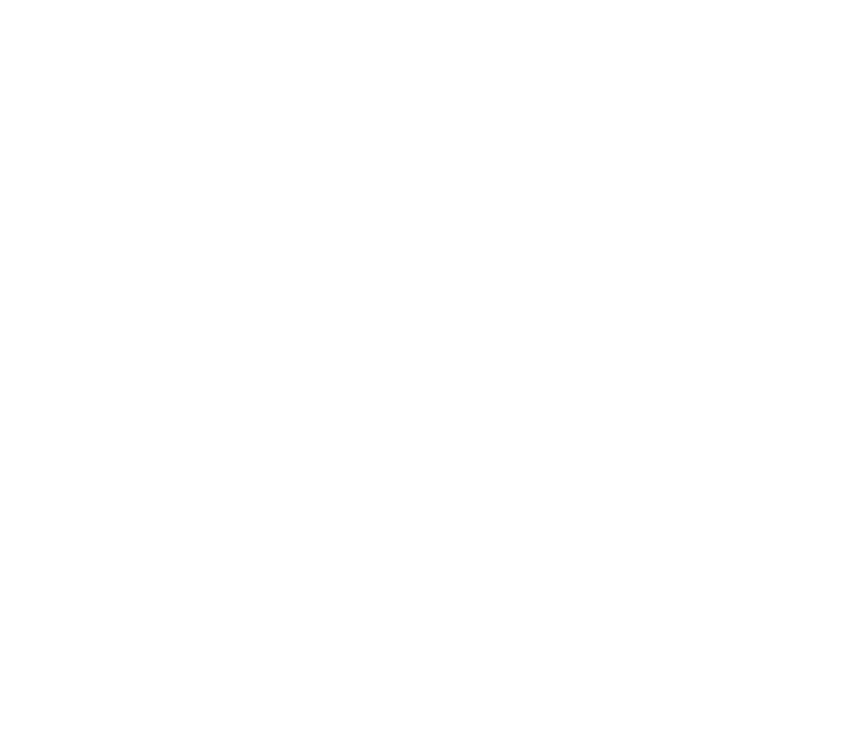 Spie sotto copertura