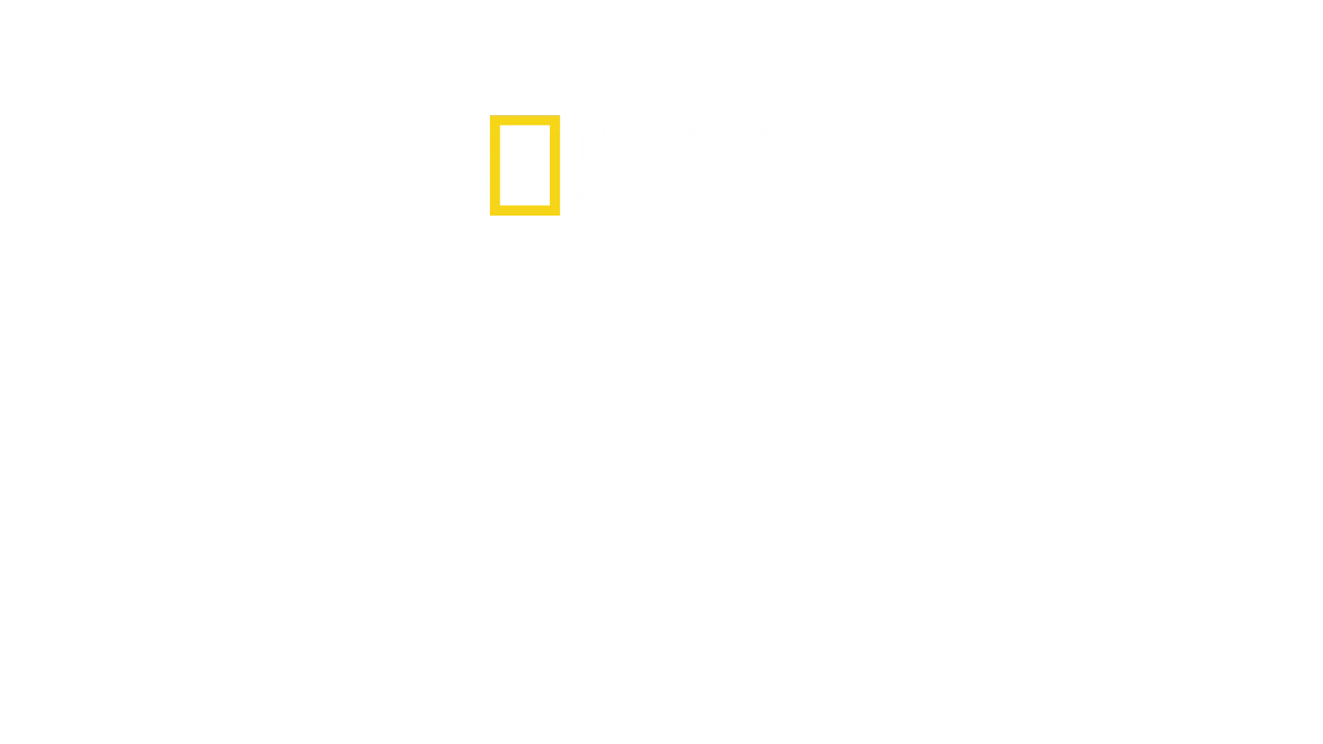 Schwarzmärkte hautnah mit Mariana van Zeller