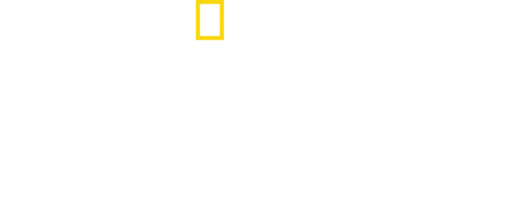 Schwarzmärkte hautnah mit Mariana van Zeller