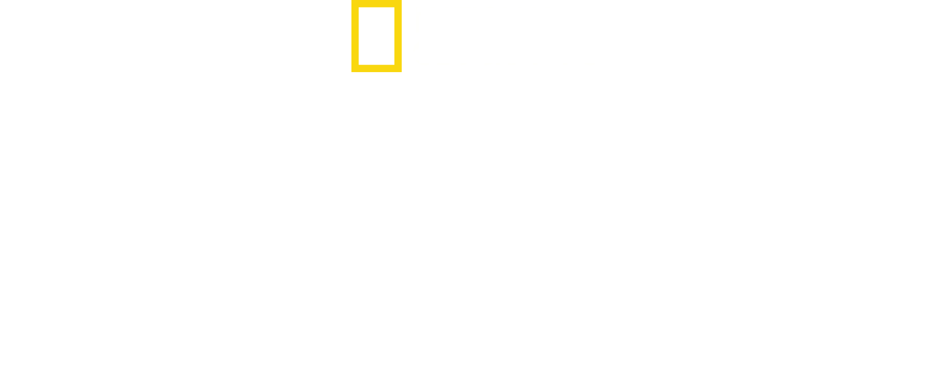 Schwarzmärkte hautnah mit Mariana van Zeller
