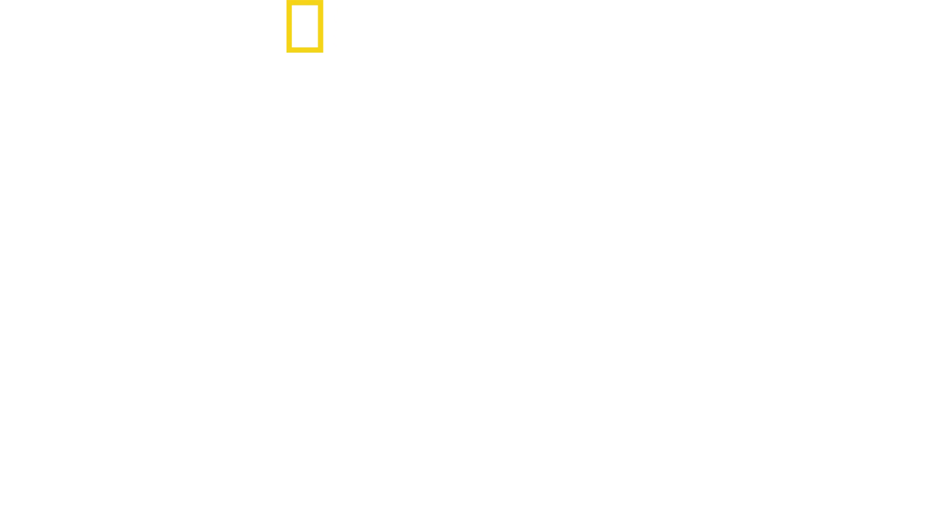 Normandian maihinnousun todistajat