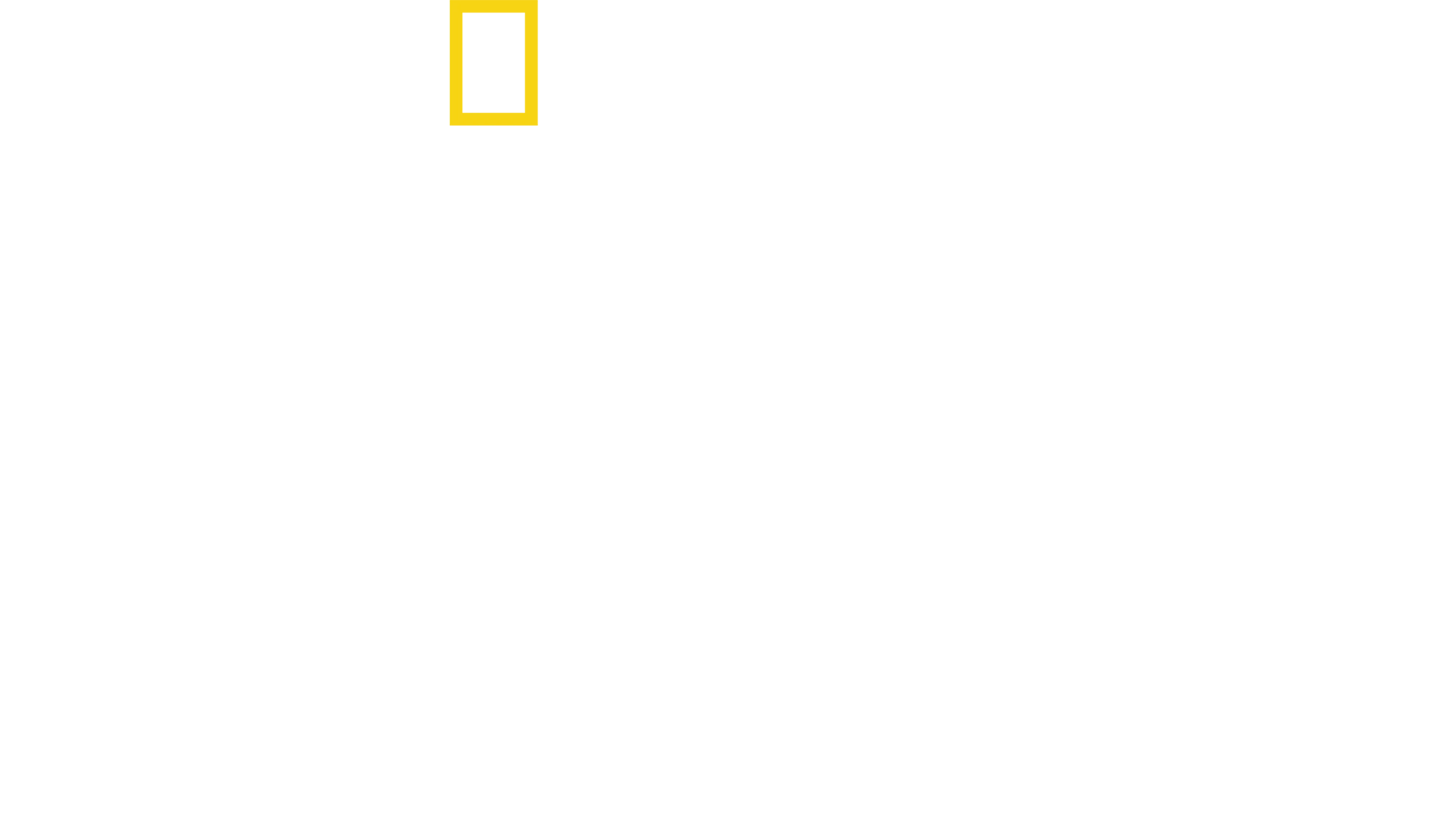 Στα Άδυτα των Ες-Ες