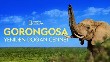 thumbnail - Gorongosa: Yeniden Doğan Cennet