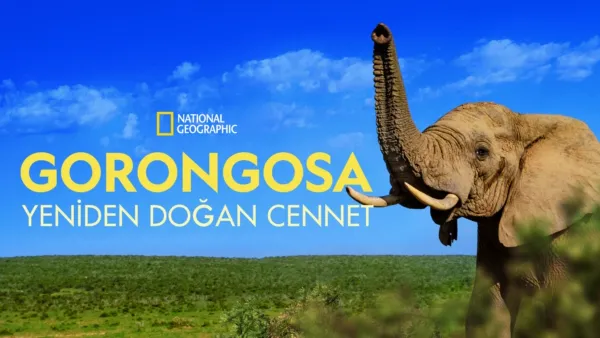 thumbnail - Gorongosa: Yeniden Doğan Cennet