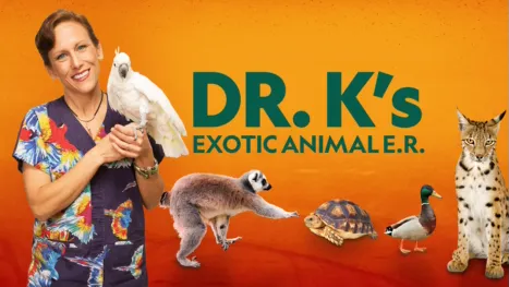 thumbnail - Dr. K's Exotic Animal ER