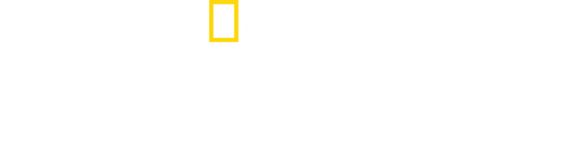 Elveszett városok nyomában