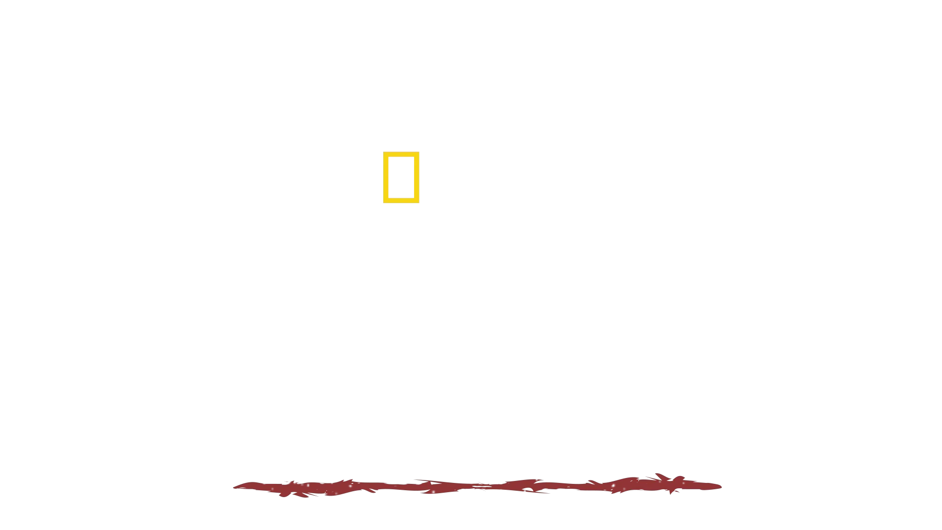 Villmarkens mann
