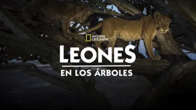 Leones en los Árboles