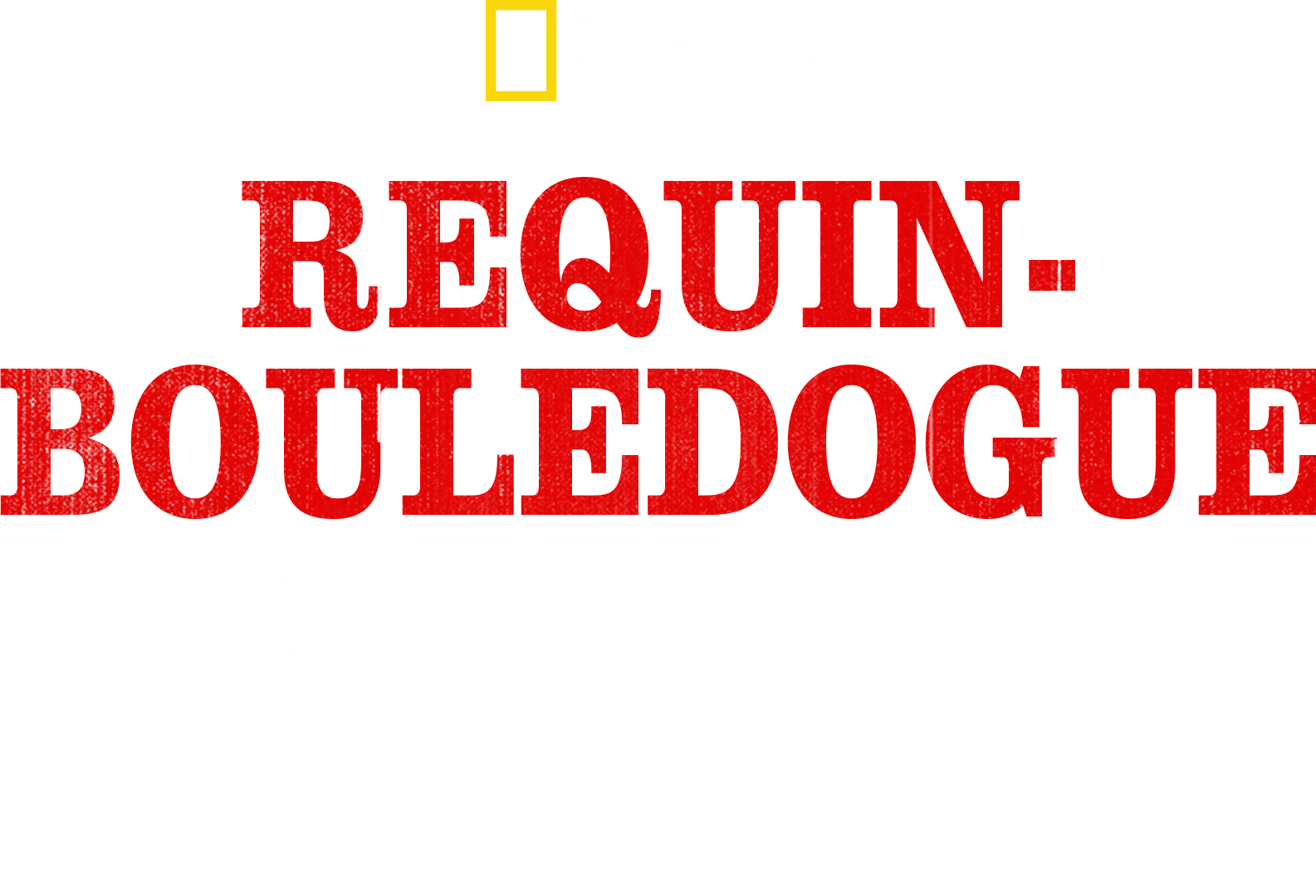 Requin-bouledogue, requin dangereux