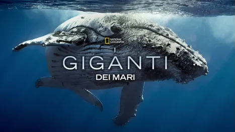 thumbnail - I giganti dei mari