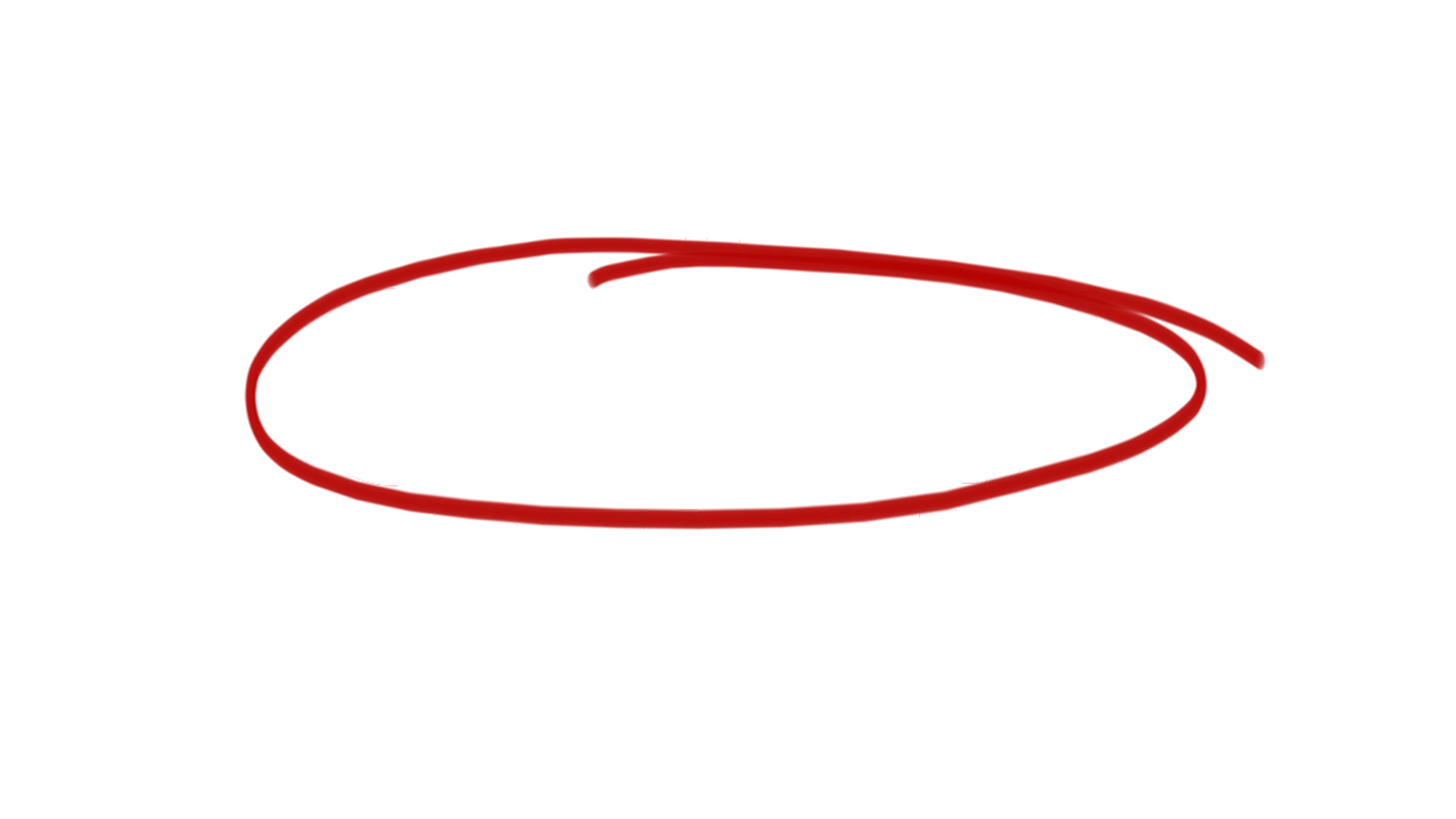 A Outra Garota Negra