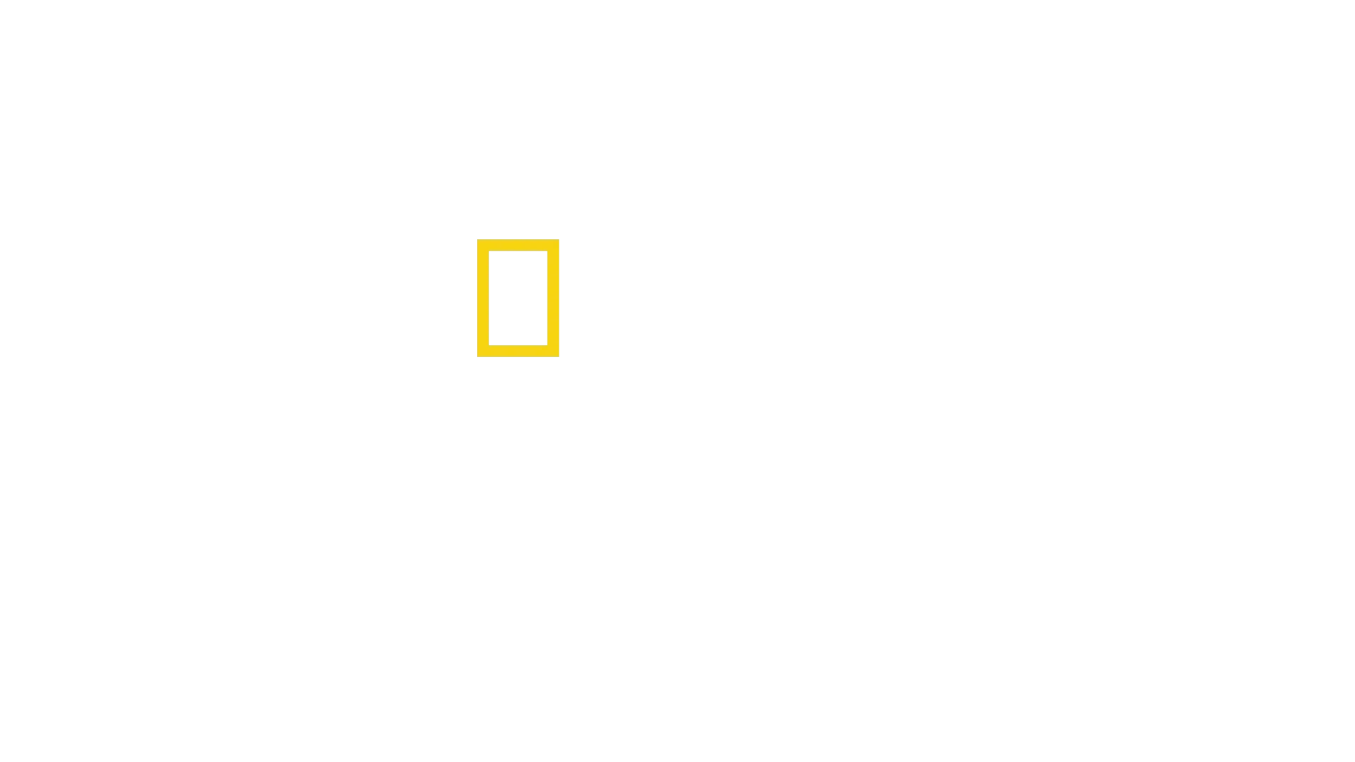 Photographer