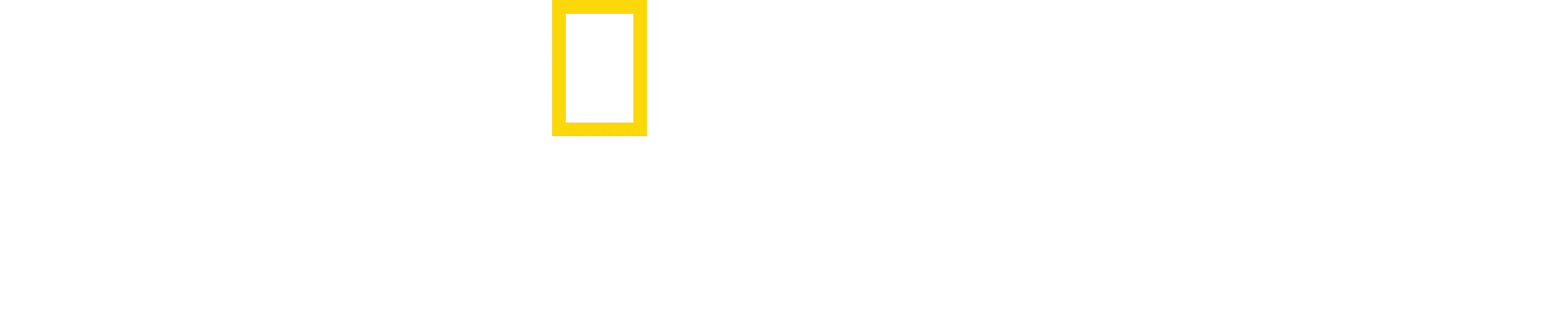 Photographer