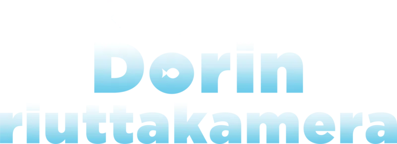 Dorin riuttakamera