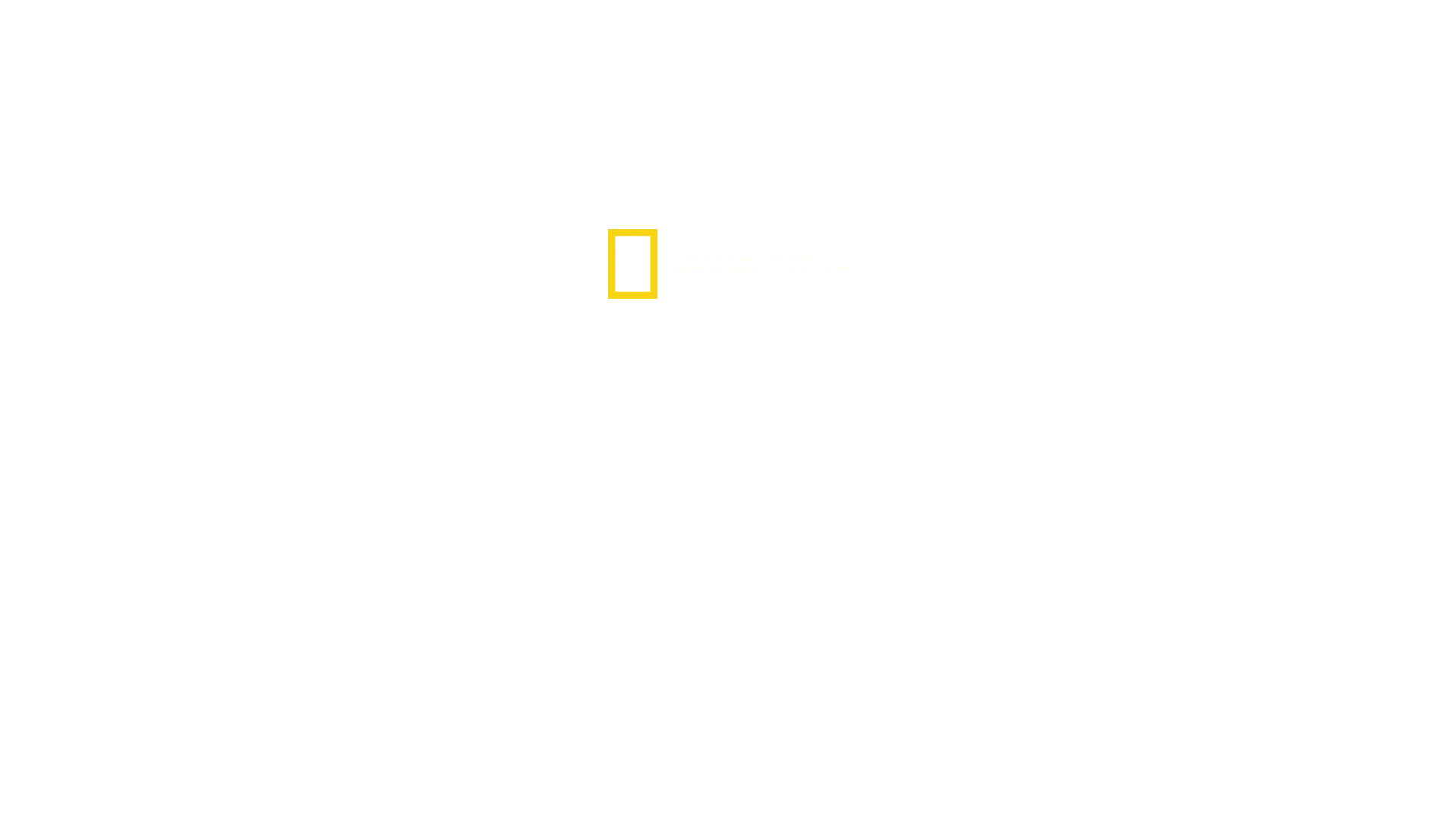 Chris Hemsworth: Investigando Tubarões