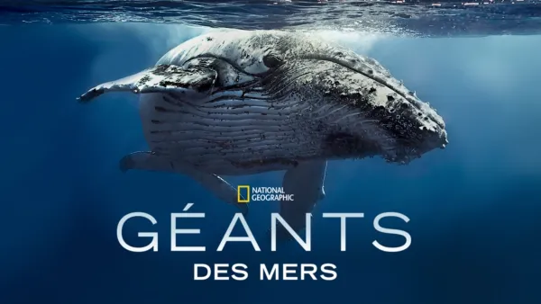 thumbnail - Géants des mers
