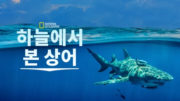 thumbnail - Sky Sharks