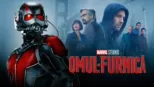 thumbnail - Omul-Furnică