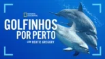 thumbnail - Golfinhos de perto com Bertie Gregory