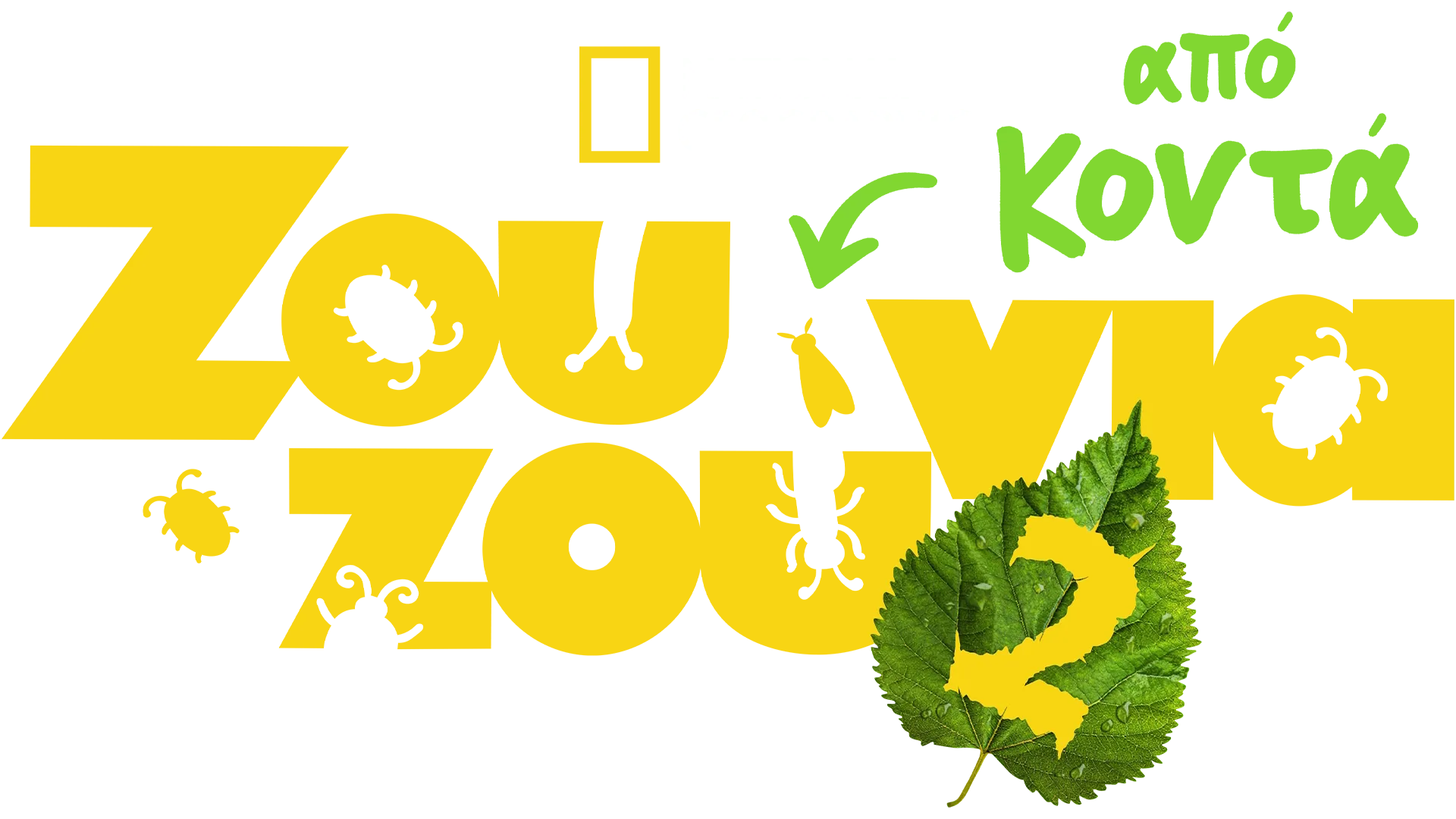 Ζουζούνια από Κοντά