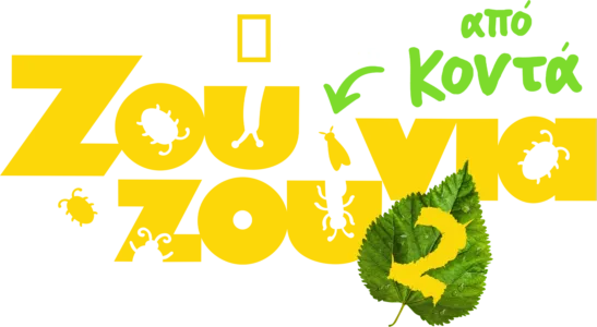 Ζουζούνια από Κοντά