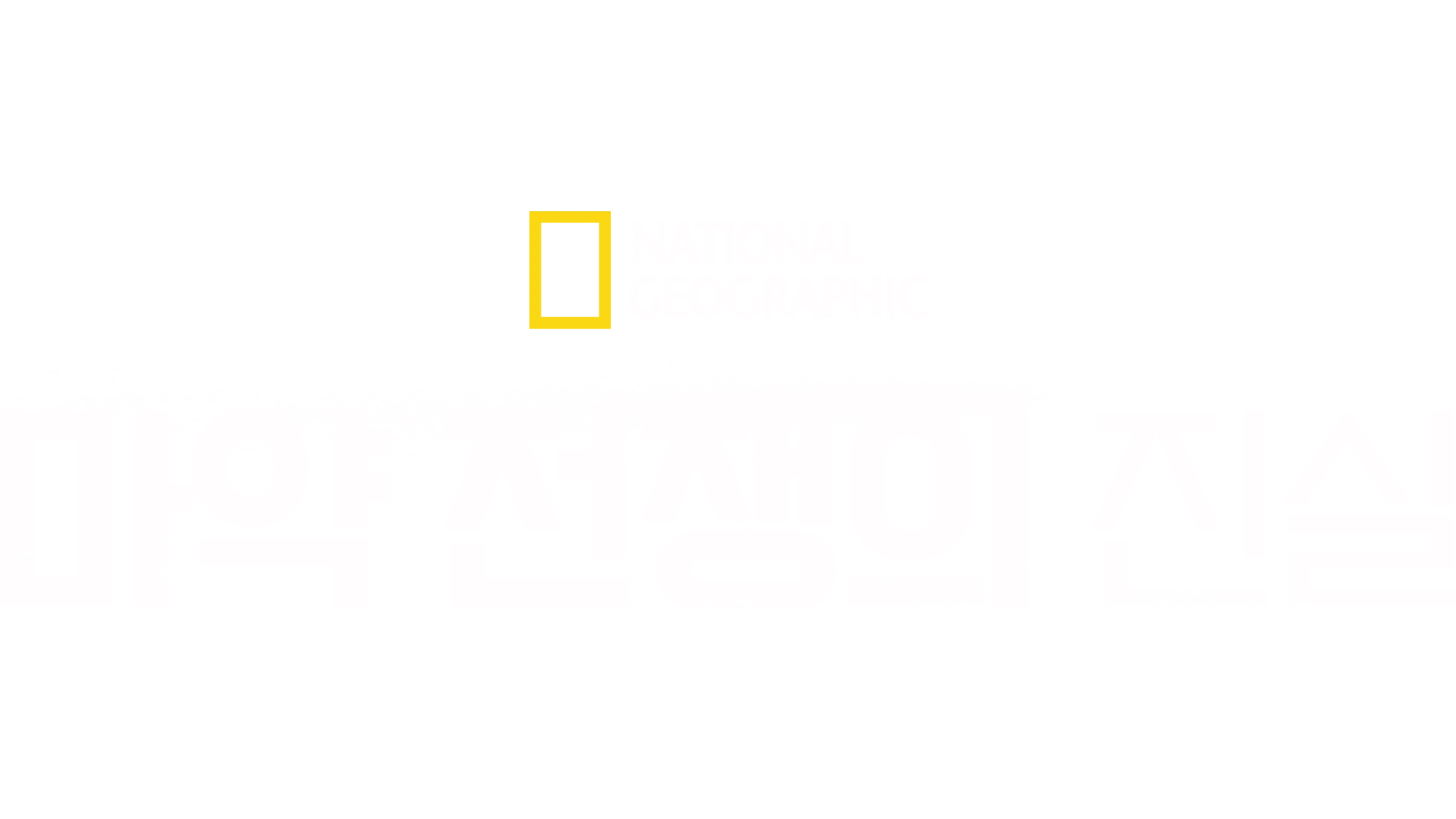 마약 전쟁의 진실