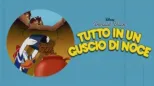 thumbnail - Tutto in un guscio di noce