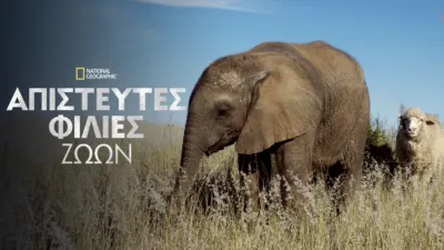 Απίστευτες Φιλίες Ζώων