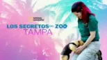 thumbnail - Los secretos del zoo: Tampa