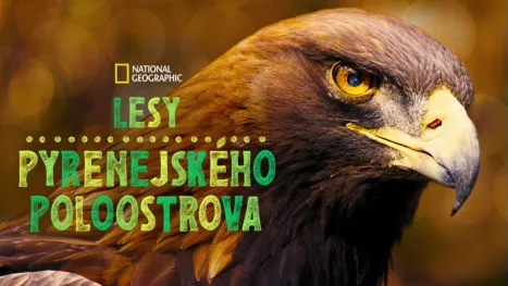 thumbnail - Lesy Pyrenejského poloostrova