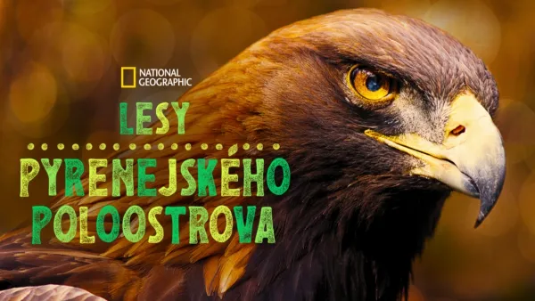 thumbnail - Lesy Pyrenejského poloostrova