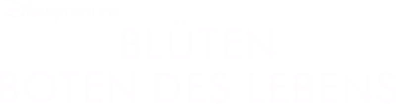 Blüten - Boten des Lebens
