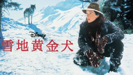 thumbnail - 雪地黄金犬