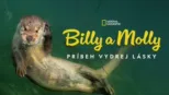 thumbnail - Billy a Molly: Príbeh vydrej lásky