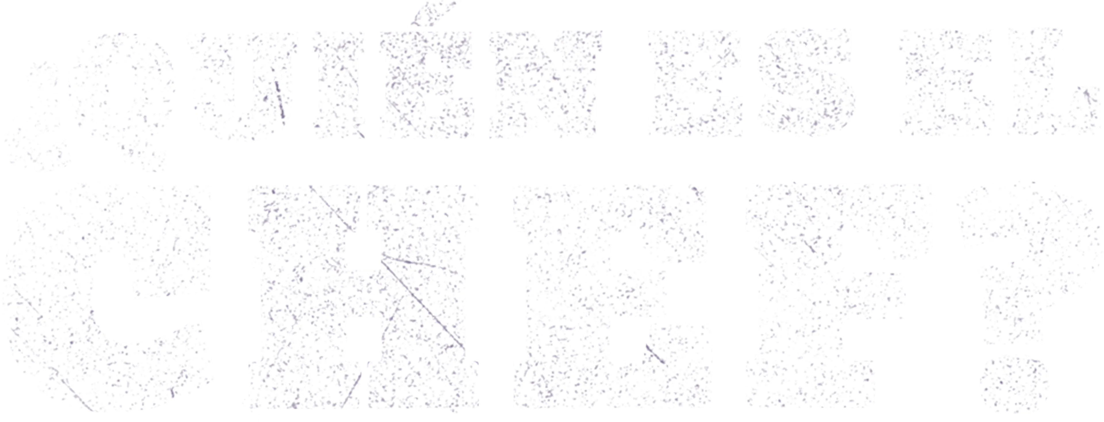 ¿Quién es el chef?