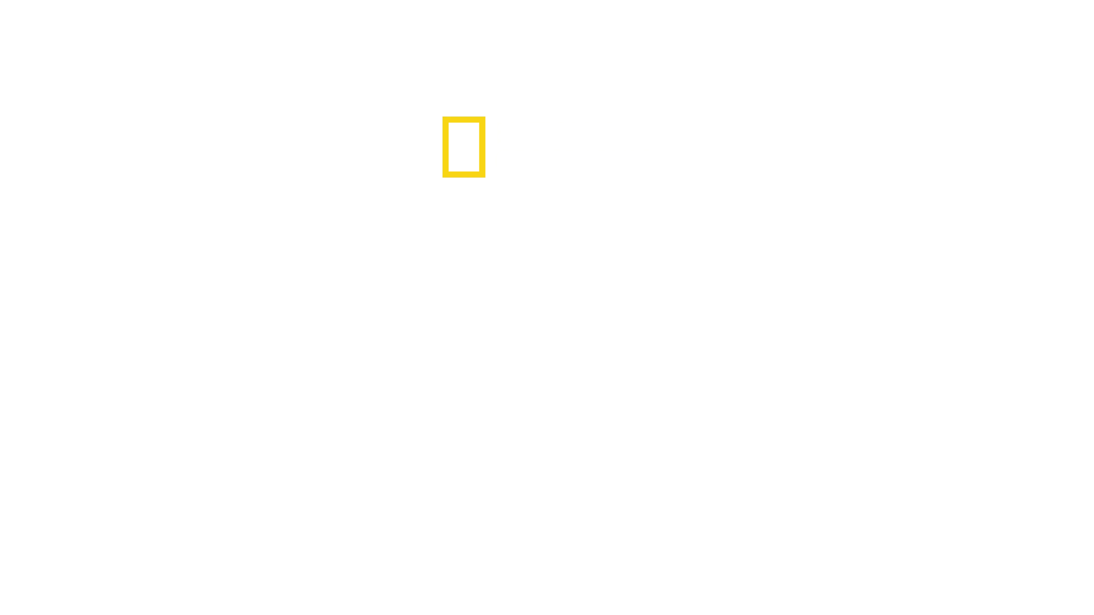 Alerta aeropuerto