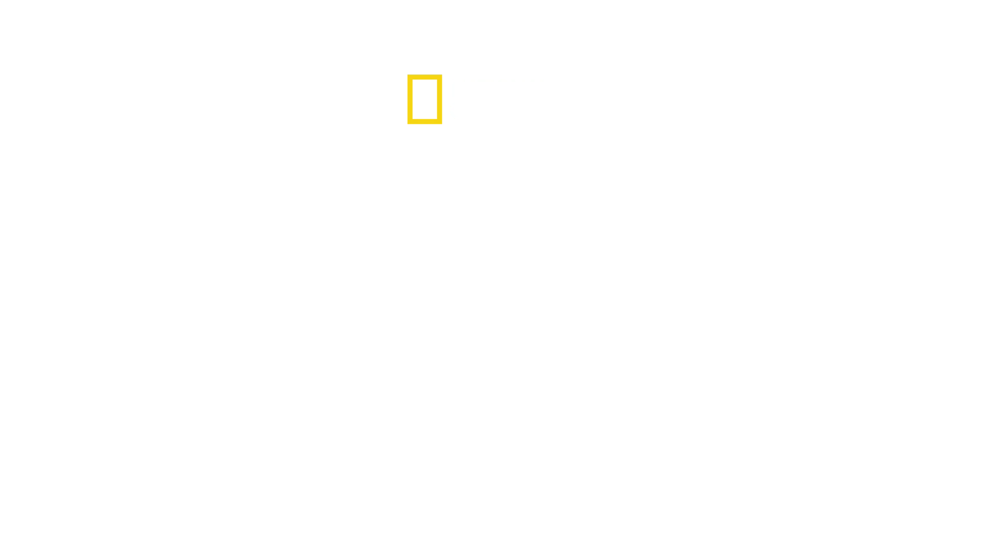 Dyreungene vokser