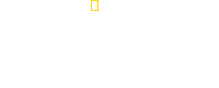 Dyreungene vokser