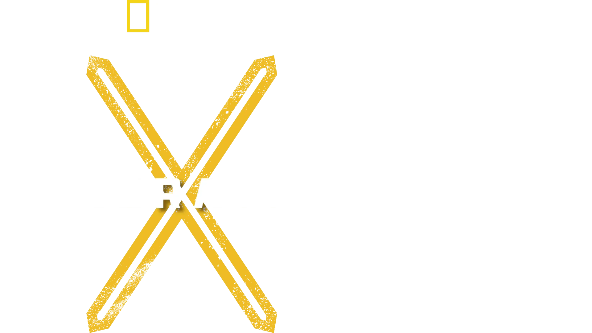X: The Generation That Changed the World
