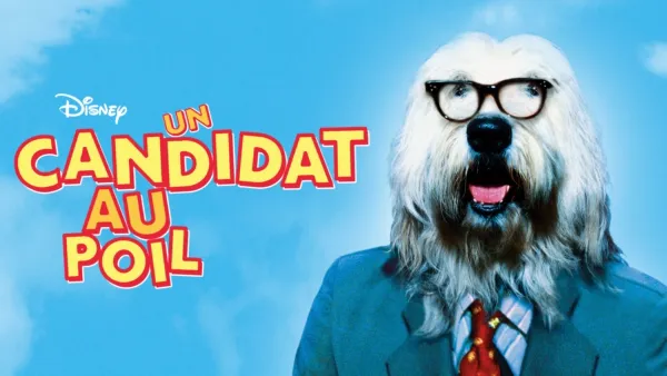 thumbnail - Un candidat au poil