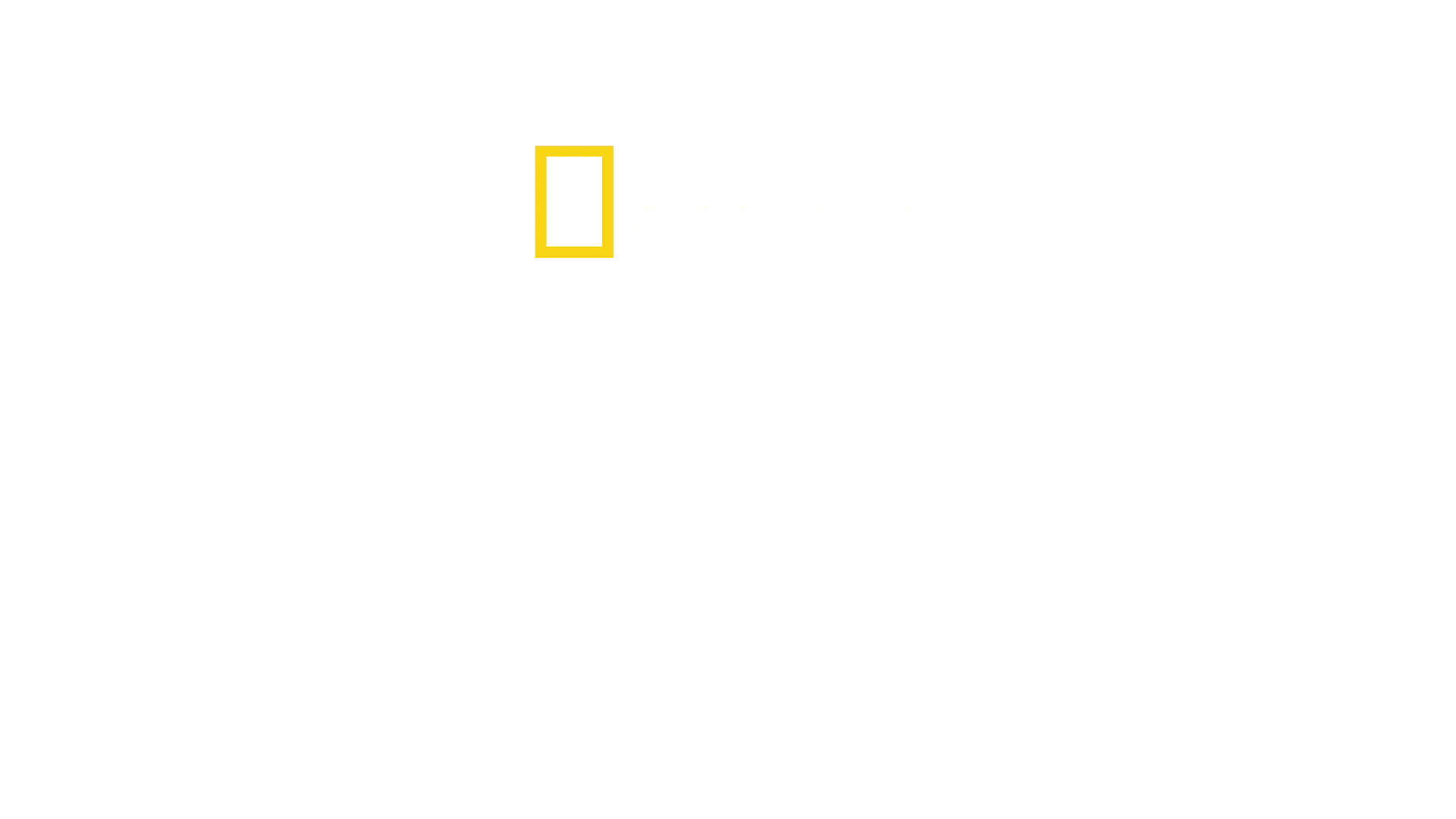 Mega-Bauwerke: Real Madrids Superstadion